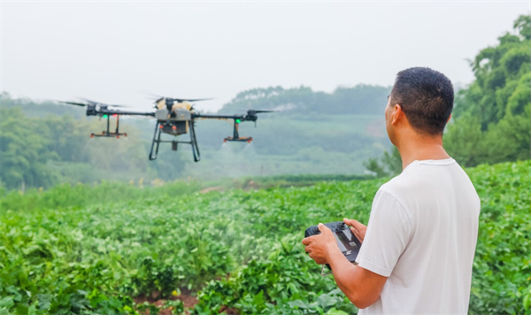 自貢市貢井區:植保無人機助力病蟲害防治(圖1) 自貢市貢井區:植保無人機助力病蟲害防治(圖1)