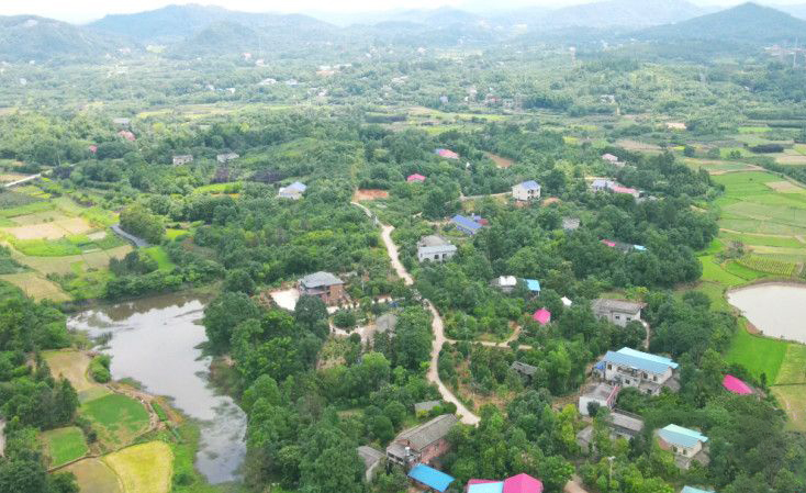 無人機(jī)助力長沙市森林防火 筑牢城市森林防火安全線(圖1)