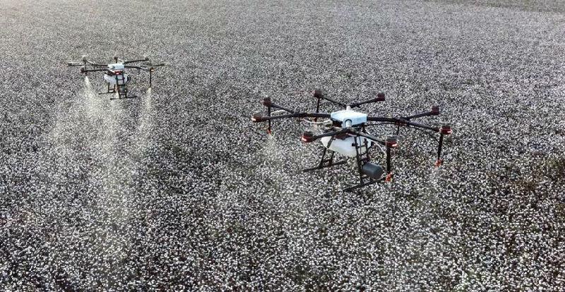 無(wú)人機(jī)植保給棉花打脫葉劑如何操作?(圖2) 植保無(wú)人機(jī)